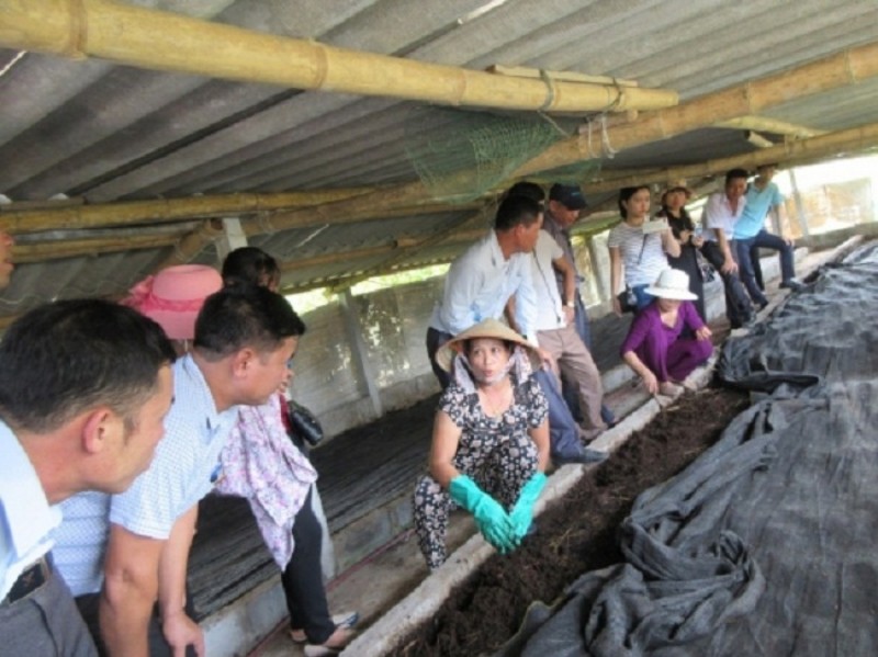 Nuoi nhung con con trung mang lai nguon thu khung khong ngo-Hinh-4