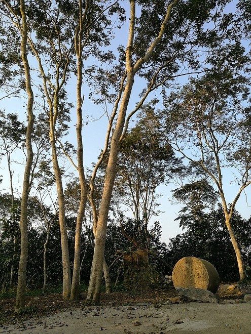 Kho bau nghin ty duoi thung lung cua lao nong Tuyen Quang-Hinh-2