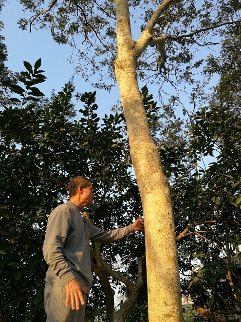 Kho bau nghin ty duoi thung lung cua lao nong Tuyen Quang-Hinh-3