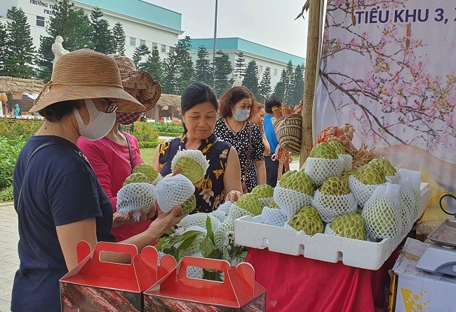 Bi ti hon co gia hang tram nghin dong/kg hut khach Ha thanh-Hinh-3