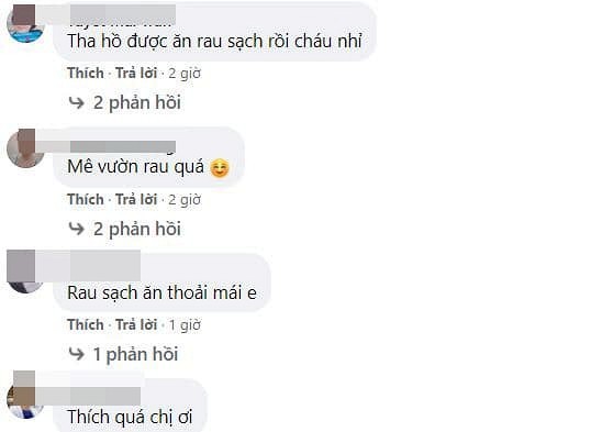 Ba bau Que Van khoe vuon rau sach nha trong nhin la me-Hinh-3