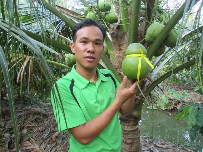 Qua dua la chua tung thay, gia cao ngat nguong van chay hang