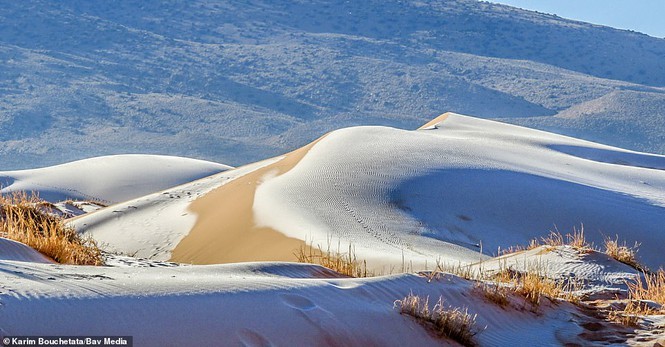 Bo anh tuyet phu sa mac Sahara dep nhu mo-Hinh-6