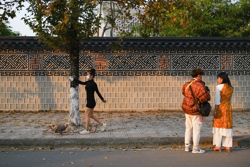 Nguoi dan bi nhac nho khi chup anh voi la phong do-Hinh-10