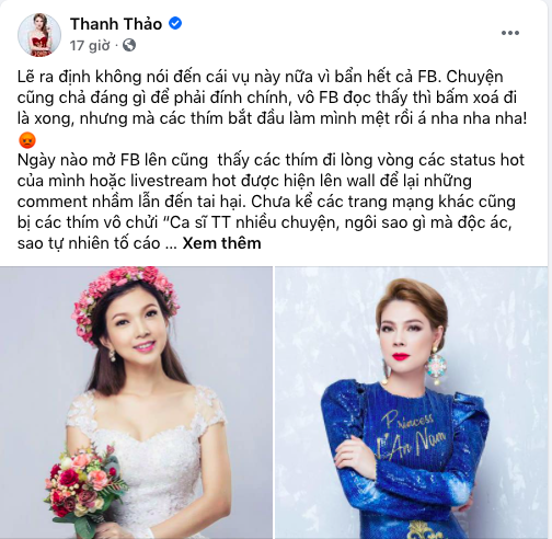 Thanh Thao buc xuc khi bi noi la doc ac