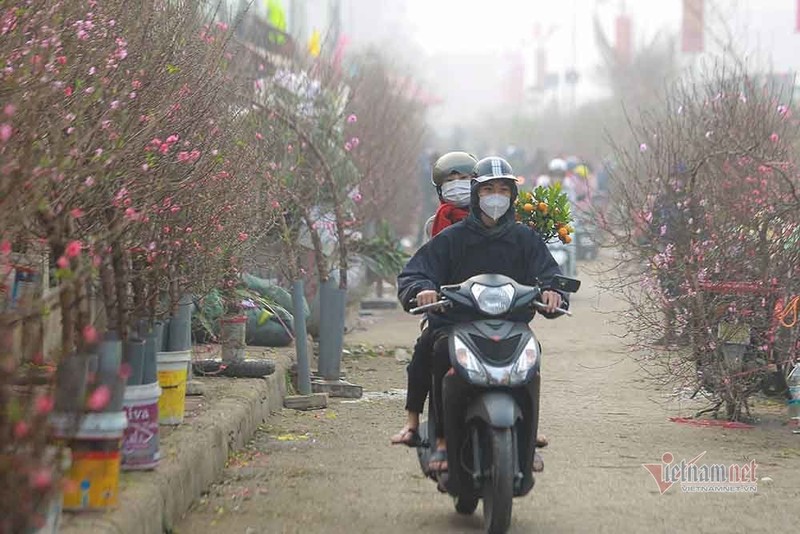 Dao Tet tang gia hang ngay-Hinh-6