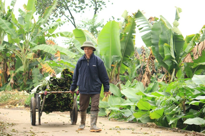 Ngoi lang co 400 nam trong la dong o Ha Noi-Hinh-2