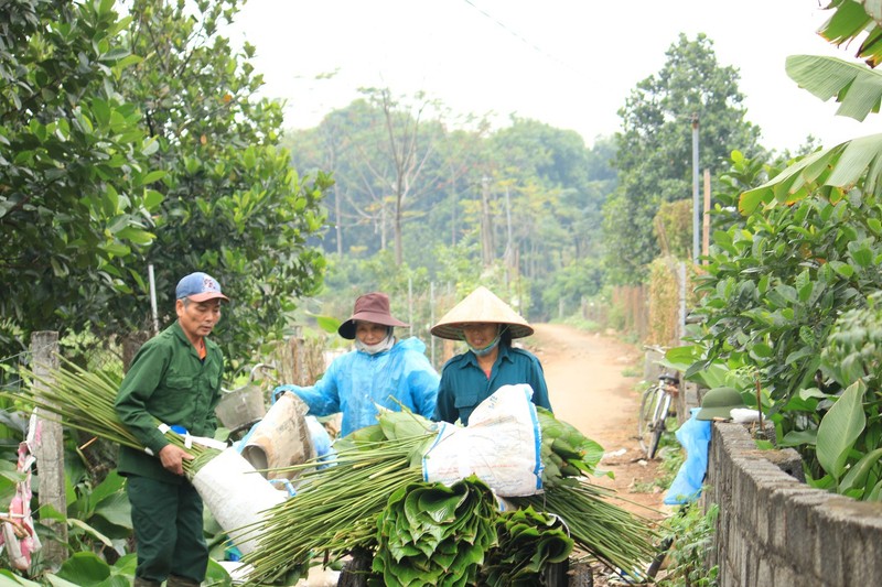 Ngoi lang co 400 nam trong la dong o Ha Noi-Hinh-3