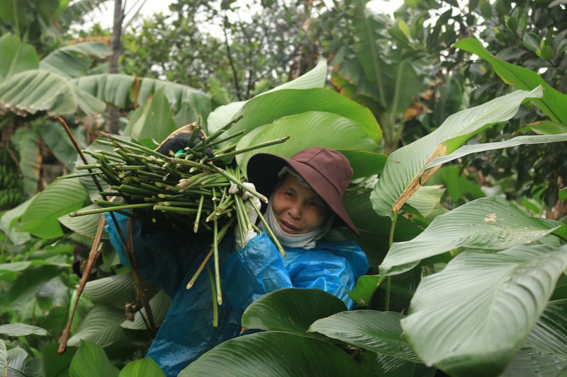 Ngoi lang co 400 nam trong la dong o Ha Noi-Hinh-7