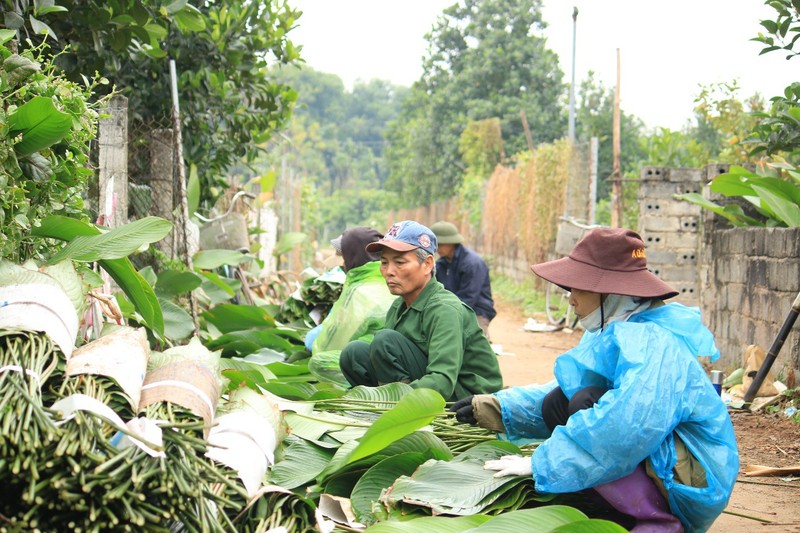 Ngoi lang co 400 nam trong la dong o Ha Noi