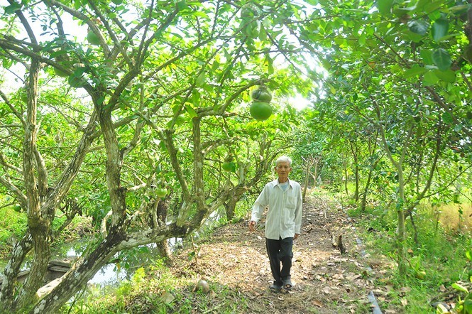 Dao tien ho lo doc nhat vo nhi o Hau Giang-Hinh-4