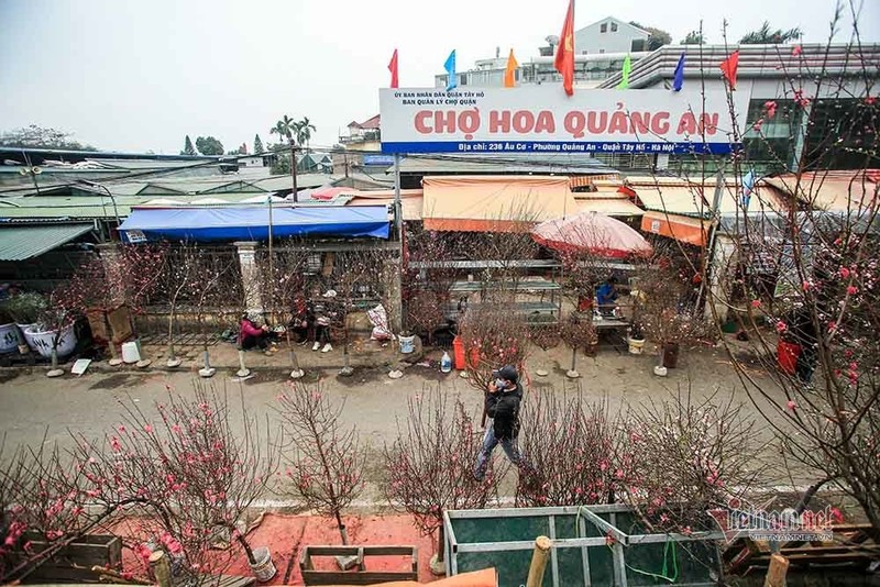 Lang hoa Ha Noi dang ngoi tren dong lua vi dich COVID-19-Hinh-11