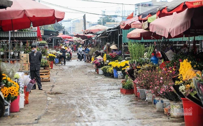 Lang hoa Ha Noi dang ngoi tren dong lua vi dich COVID-19-Hinh-16