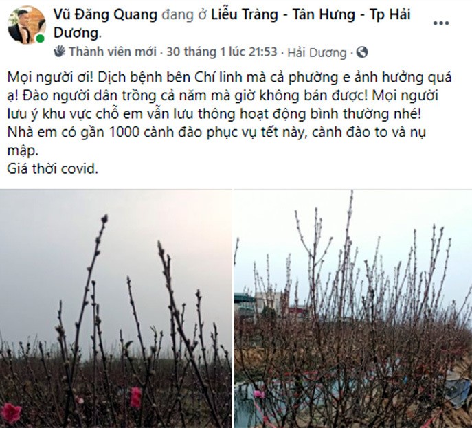 Lang dao Hai Duong nguy khon, rao ban gap 1.000 goc