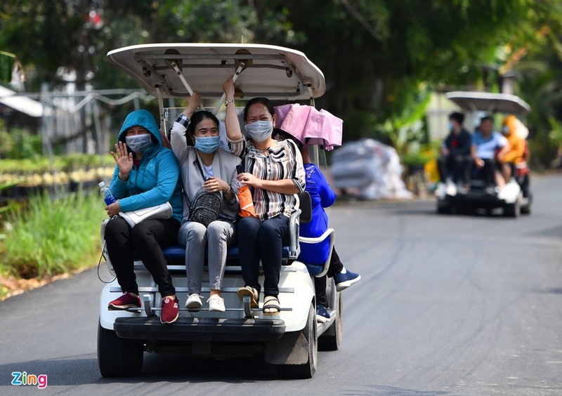 Lang hoa lon nhat mien Tay vang ve ngay giap Tet-Hinh-4