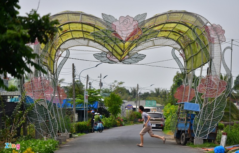 Lang hoa lon nhat mien Tay vang ve ngay giap Tet-Hinh-6