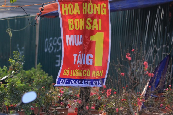 Quat, dao sale sap san van vang bong nguoi mua-Hinh-10