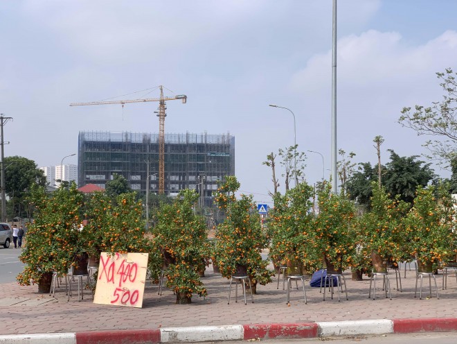 Quat, dao sale sap san van vang bong nguoi mua