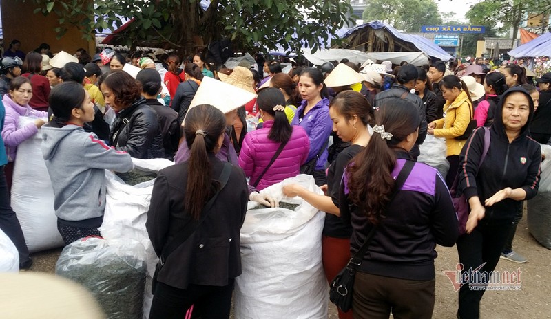 Nghe nhan tra Thai tiet lo bi kip de chon mot am tra ngon