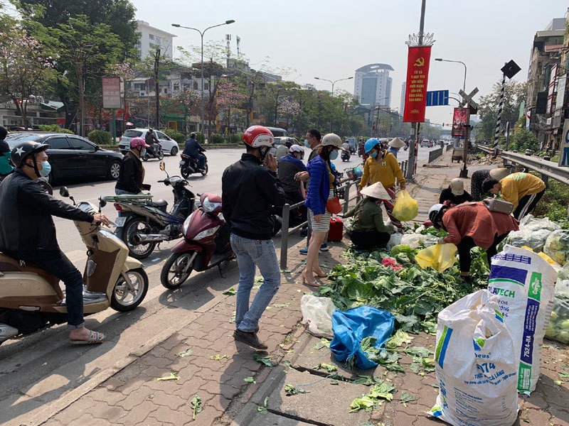 Dan Ha Noi chung tay giai cuu rau xanh cho nong dan Hai Duong-Hinh-12