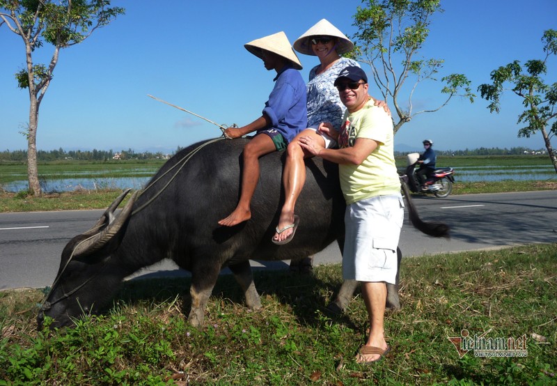 Ru Tay ra dong cuoi trau, dan Hoi An thu tien do-Hinh-5