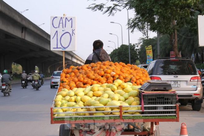 Hoa qua gia re khong ro nguon goc ban tran lan tren pho Ha Noi