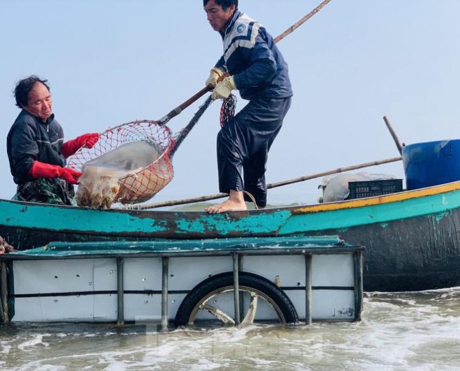 Mua sua bien, ngu dan kiem tien trieu moi ngay-Hinh-10