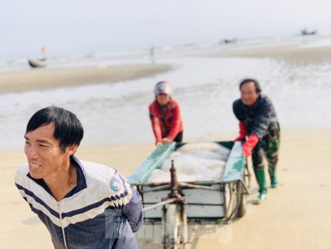 Mua sua bien, ngu dan kiem tien trieu moi ngay-Hinh-14