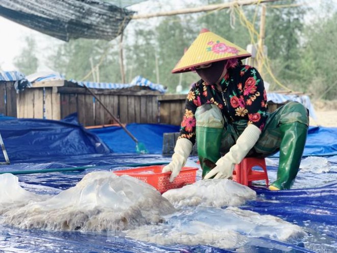 Mua sua bien, ngu dan kiem tien trieu moi ngay-Hinh-16