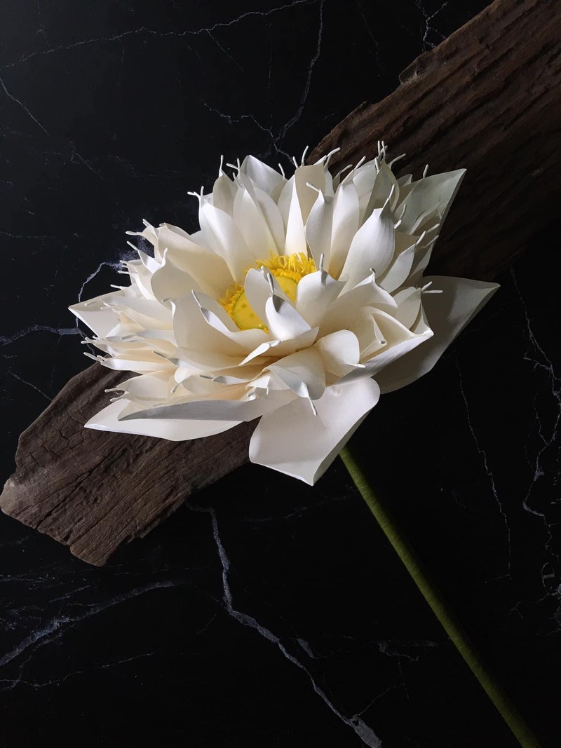 Tiem hoa giay mang hy vong cua co gai mac benh xuong thuy tinh-Hinh-6