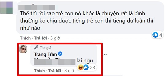 Trang Tran noi dien khi chung kien canh me tat con tren may bay-Hinh-6