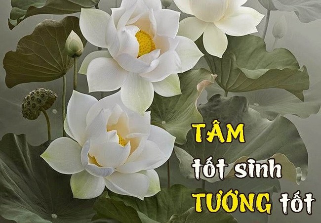 Lam viec thien hay ac deu khien tuong mao thay doi-Hinh-2