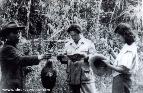 5 my nhan tuyet sac la tinh dich cua Nam Phuong Hoang Hau-Hinh-8