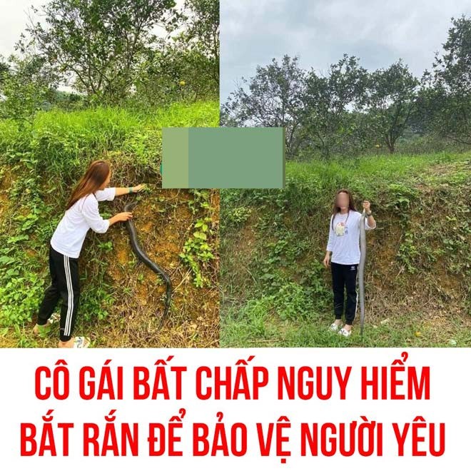 Gai xinh Nghe An tay khong bat ran ho mang-Hinh-2