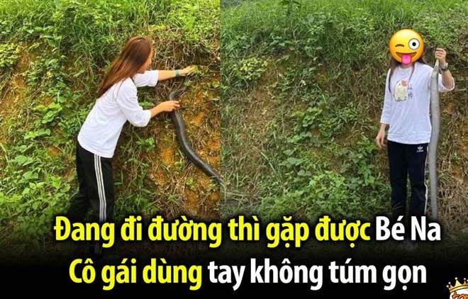 Gai xinh Nghe An tay khong bat ran ho mang