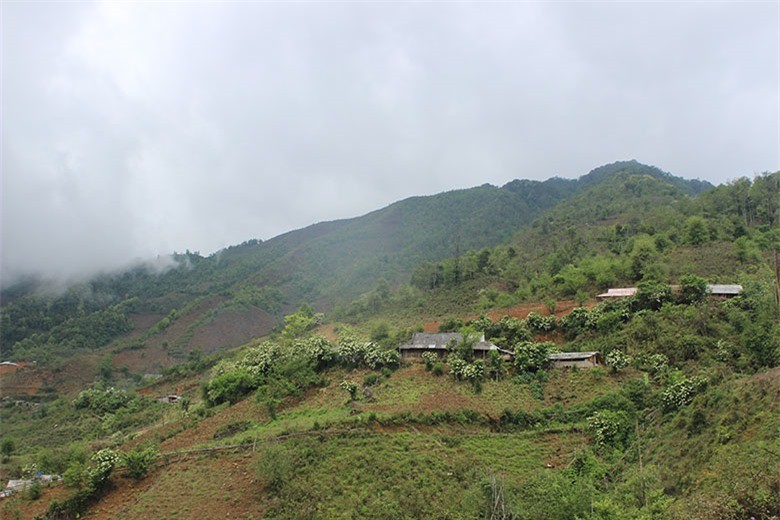 Vung cao Hang Dong: diem den du lich hoang so day hap dan-Hinh-4