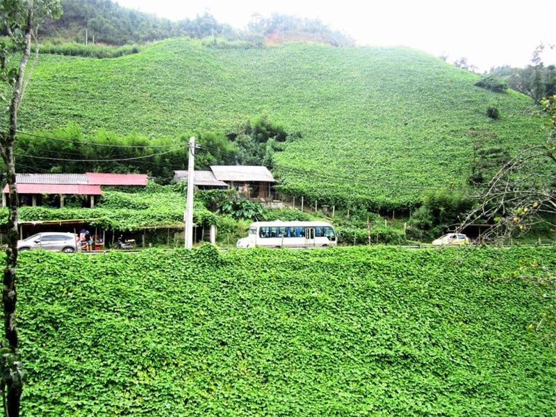 Kham pha O Quy Ho - cung deo huyen thoai o vung cao Tay Bac-Hinh-9