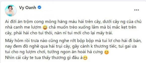 Van Hugo, Vy Oanh phan ung ra sao khi co nguoi hai trom hoa nha minh?-Hinh-3