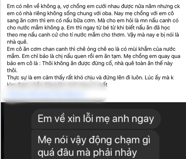 Toi dung day ngay khoi mam com sau mot loi nhan xet cua me chong