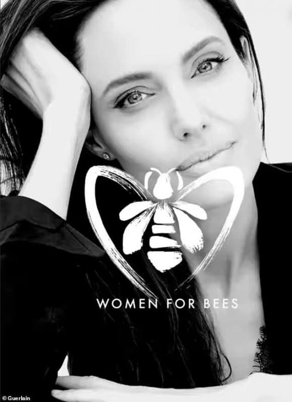 Angelina Jolie chiu ban khong tam trong 3 ngay de chup hinh voi ong-Hinh-2