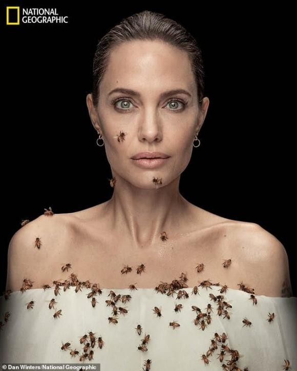 Angelina Jolie chiu ban khong tam trong 3 ngay de chup hinh voi ong
