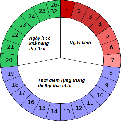 Phu nu co chu ky kinh 22 ngay va 35 ngay hoan toan khac biet