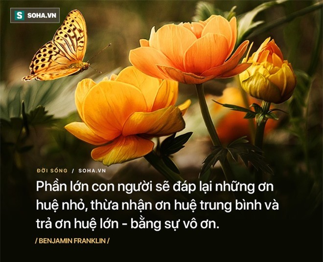 Thuc te nhac nguoi tot nen tinh tao, ke vo on can xem lai minh-Hinh-2