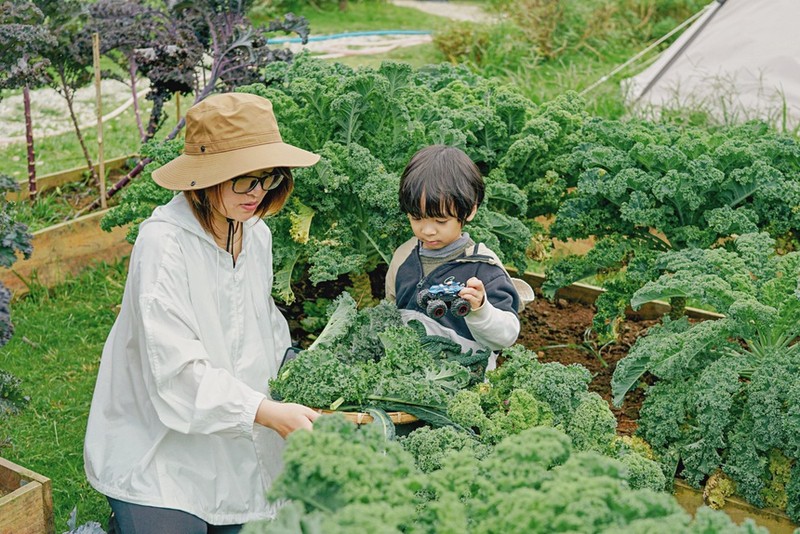 Gia dinh roi TP.HCM len Da Lat, thue doi troc mo trang trai