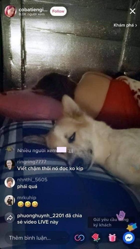 Chu cho mien Tay thanh hien tuong livestream, dien net ngu hut 8K nguoi xem