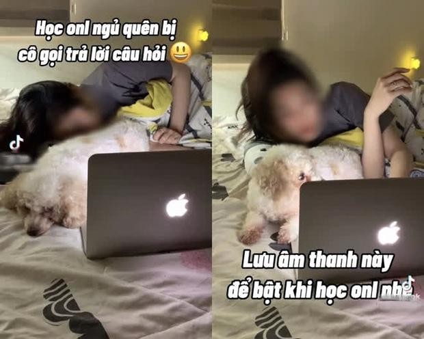 Drama gioi TikTok: Hot girl lam loat clip huong dan hoc sinh gian lan-Hinh-2