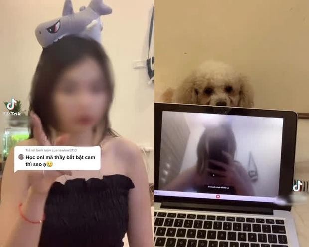 Drama gioi TikTok: Hot girl lam loat clip huong dan hoc sinh gian lan