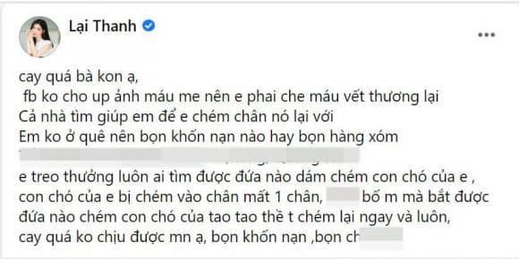 Thanh Bi vang tuc khi cho cung bi ke xau chem mat mot chan-Hinh-6