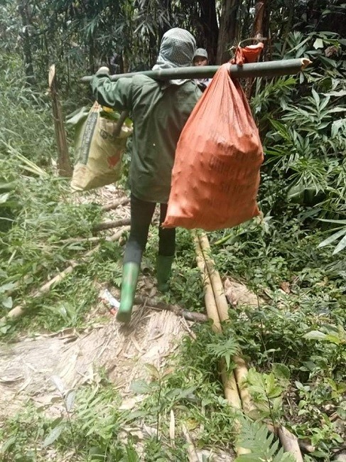 Di tim loc rung vao mua mua, nguoi dan vung nui kiem tien trieu moi ngay-Hinh-4