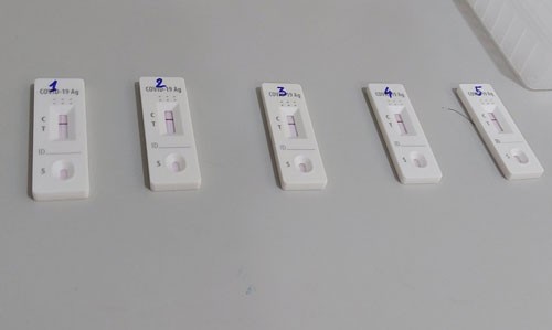 Cach su dung kit test SARS-CoV-2 tai nha-Hinh-2